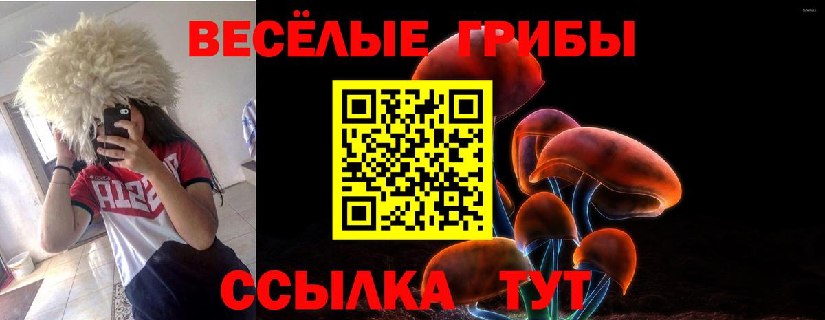Псилоцибиновые грибы ЛСД Гурьевск